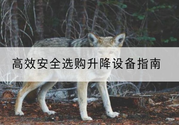 沙升降货梯厂家推荐-*安全选购升降设备指南