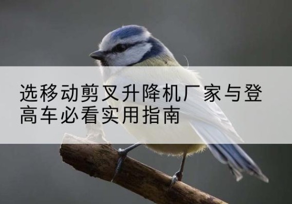 沙电动升降机厂家-选移动剪叉升降机厂家与登高车必看实用指南