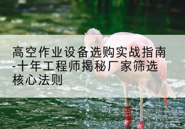 沙剪叉式升降机厂家-高空作业设备选购实战指南-十年工程师揭秘厂家筛选核心法则