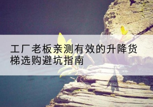 沙升降货梯怎么选-工厂老板亲测有效的升降货梯选购避坑指南